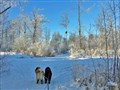 2016-01-21 Robin o Claudio på promenad i skogen i Björkeberg 11s.jpg