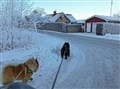 2016-01-21 Robin o Claudio på väg hem s.jpg