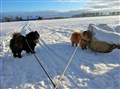 2016-01-21 ludio o Robin ute på  promenad s.jpg