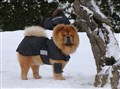 2018-02-17 Robin och Claudio i bakgrunden h.jpg