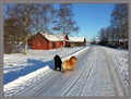 Claudio och Robin utanför hembygdsgården år 2014-01-21 H.jpg