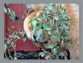 DSC00125.jpg