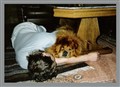 Kenneth o Nutti Maj 89.jpg