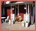 Robin på verandan 2 Maj 2014.jpg